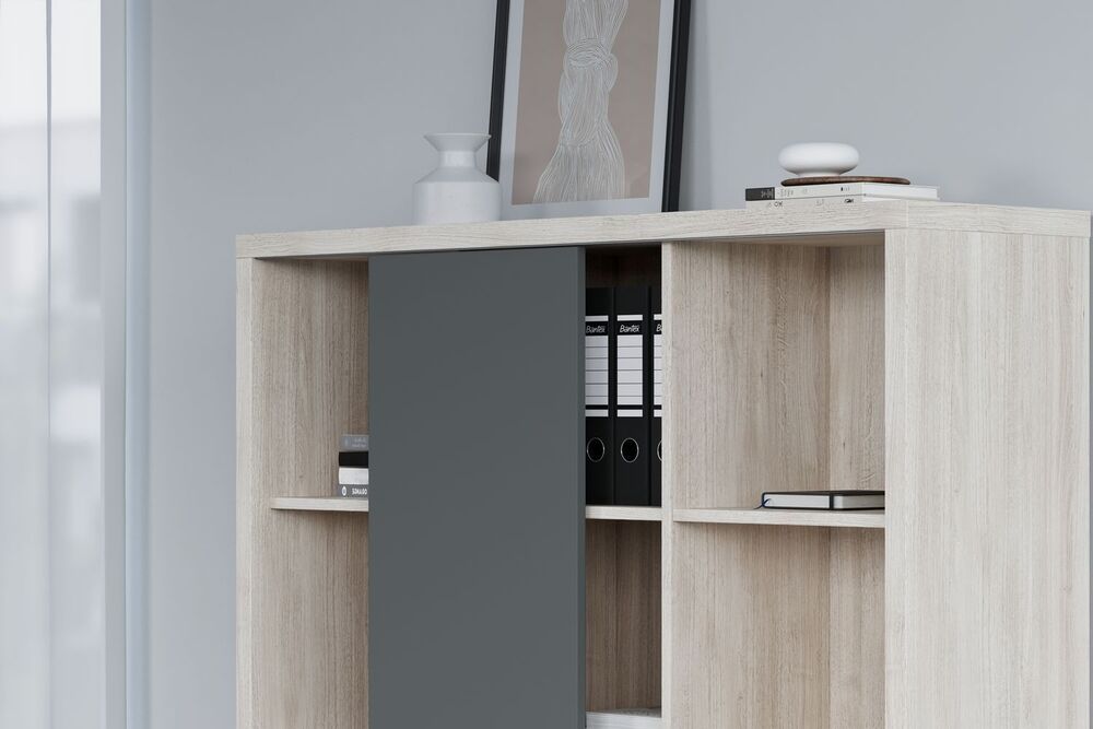 Кабинет руководителя Zion