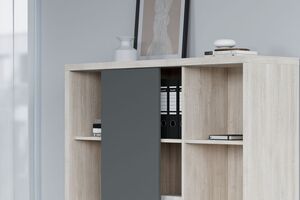 Кабинет руководителя Zion