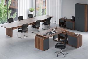 Кабинет руководителя Zion