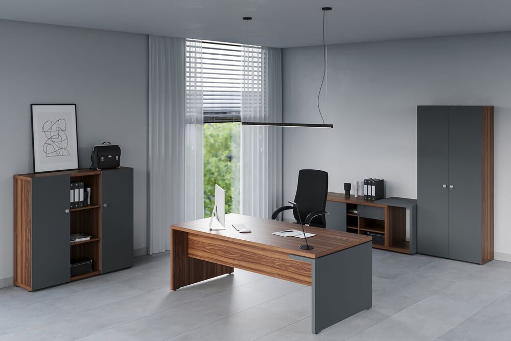 Кабинет руководителя Zion