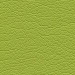 Фисташковый CN1131