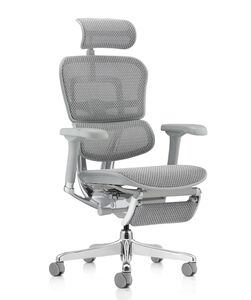 Кресло для руководителя Ergohuman Elite 2 Legrest