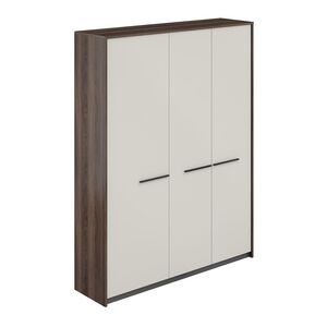 Шкафы высокие: широкий и узкий